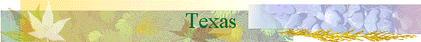 Texas